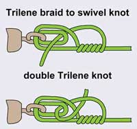 image of single and double trilene knot